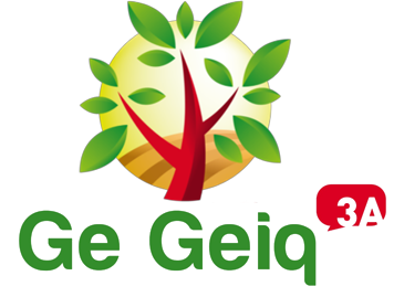 GEIQ-3A